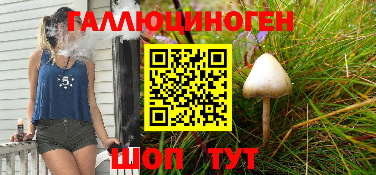 Галлюциногенные грибы Cubensis Иваново