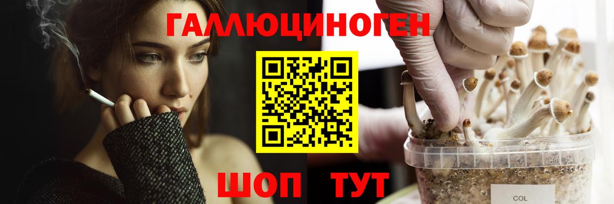 Иваново  Галлюциногенные грибы Cubensis  Вход с VPN 